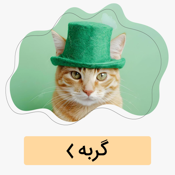 غذا و دانه ها