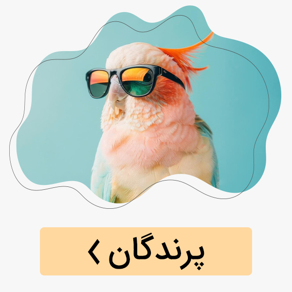 دارو و مکمل