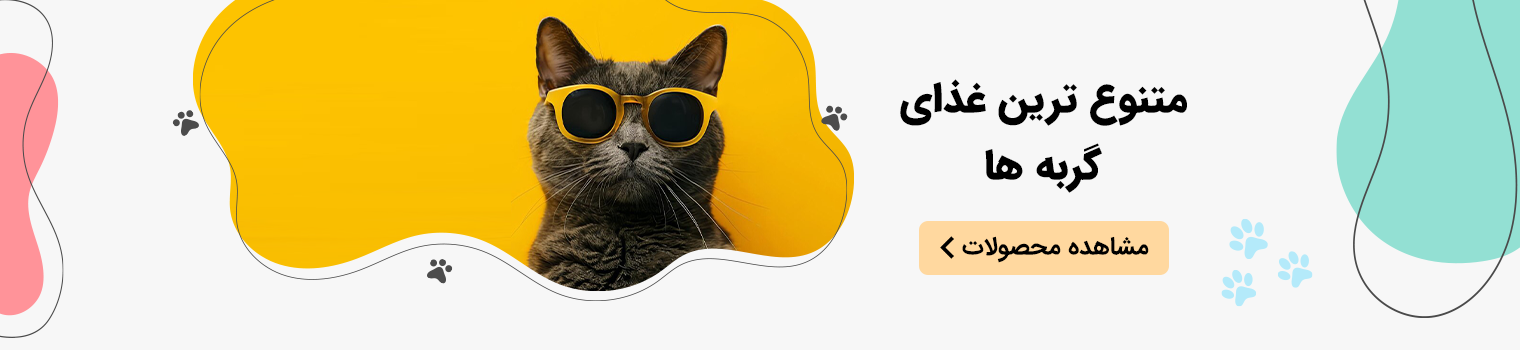 اسلایدر گربه