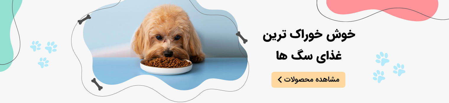 اسلایدر سگ