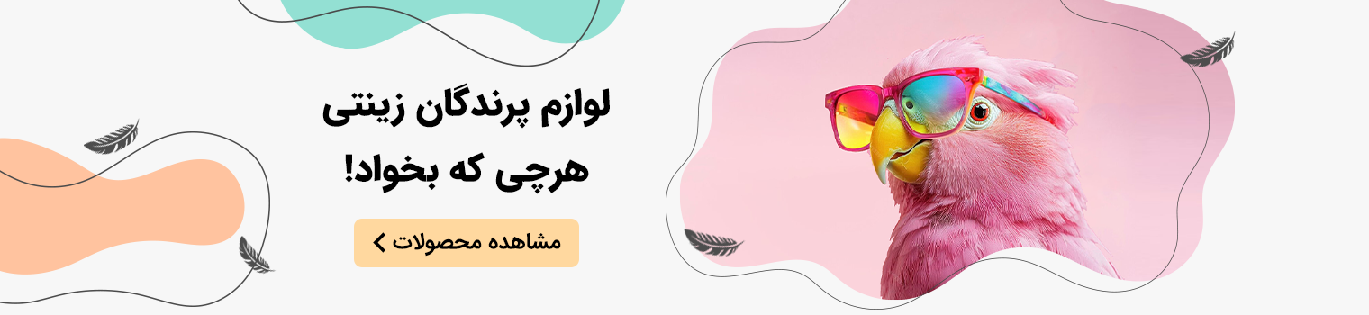 اسلایدر طوطی