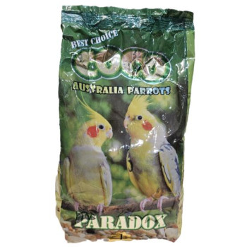 دان مخلوط طوطی های متوسط جثه کوکو