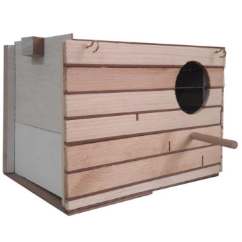 لانه چوبی طوطی برزیلی