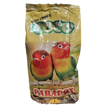 دان مخلوط طوطی های کوچک جثه کوکو