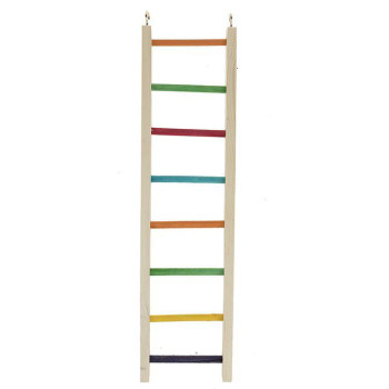 نردبان بزرگ پرندگان