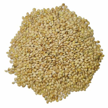 ارزن درشت ایرانی