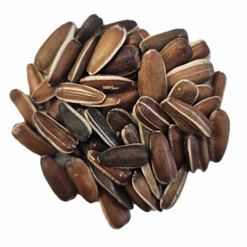 تخمه آفتابگردان قرمز