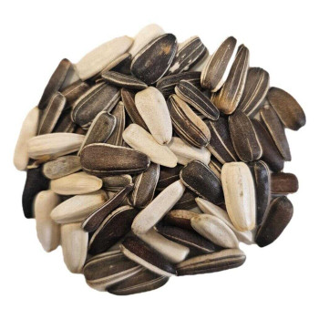 تخمه آفتابگردان خام مخلوط مخصوص پرندگان