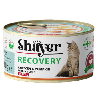 کنسرو ریکاوری گربه با طعم مرغ و کدو حلوایی شایر 200 گرمی